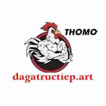 ĐÁ GÀ TRỰC TIẾP ART