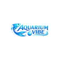 Aquarium Vibe