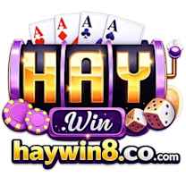 haywin8cocom