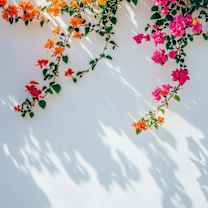 Prateek Mittal