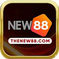 thenew88com