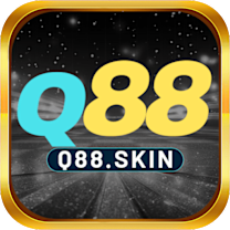 q88skin