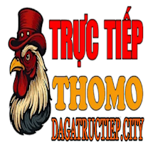 ĐÁ GÀ TRỰC TIẾP