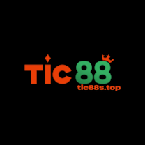 Tic88s top