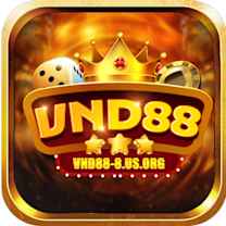vnd888us org