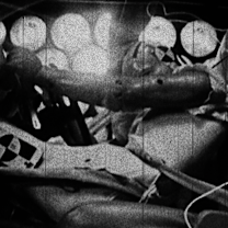 The Crash Test Facility