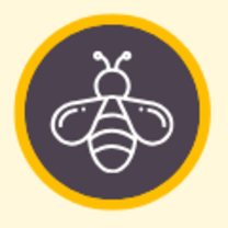 TheShopBuzz