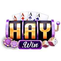 haywinsnet