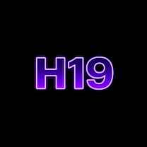 H19