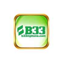 B33
