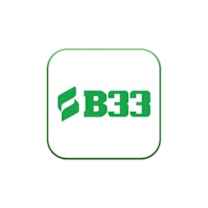 B33