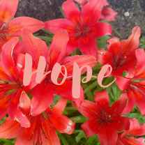 Hope Inward