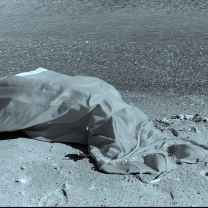 Opalescent  Scorpious