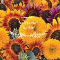 functional junkie