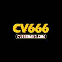 CV666 Platform