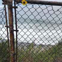 Broken Molecules🥑