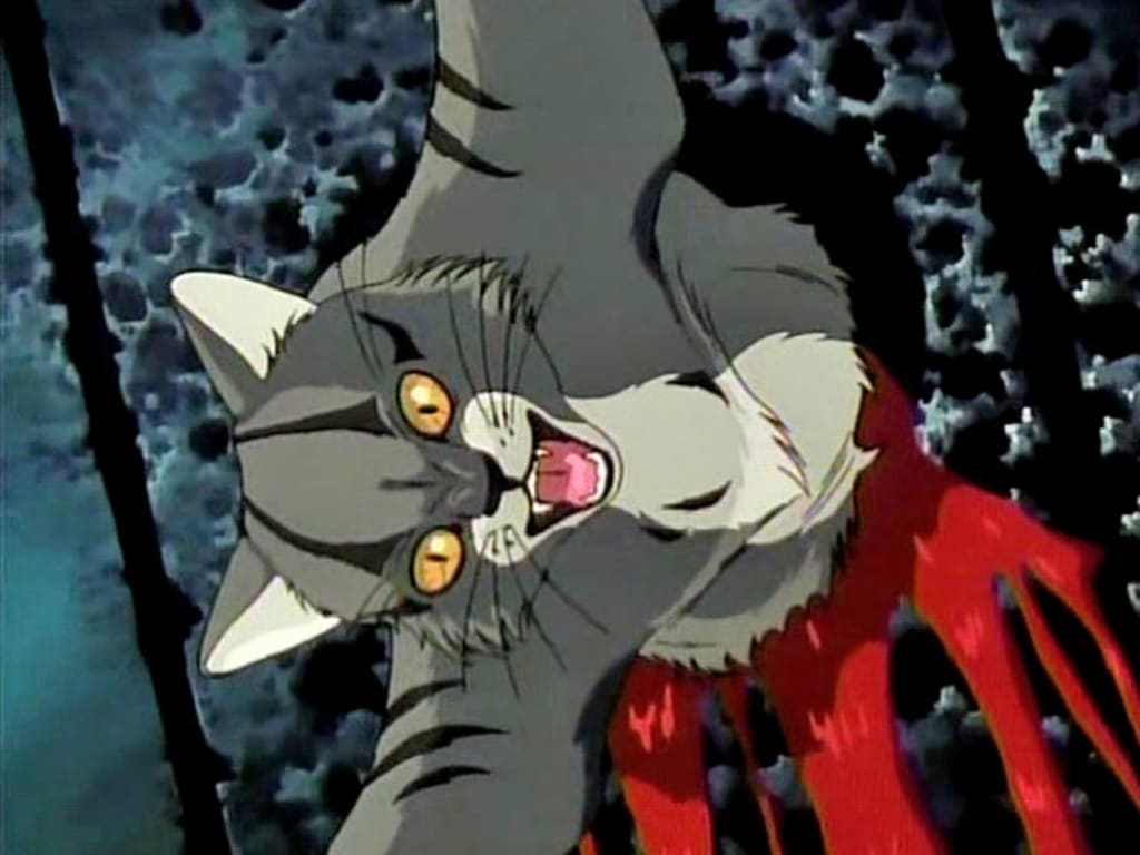 Anime Cat of the Day   Todays anime cats of the day are These two