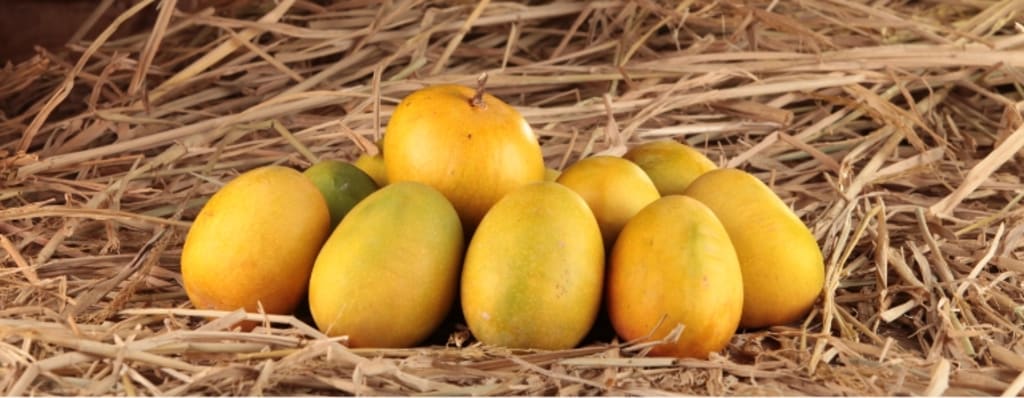 How to Pick a Ripe Mango (Visual Guide + Tips!) - Connoisseurus Veg