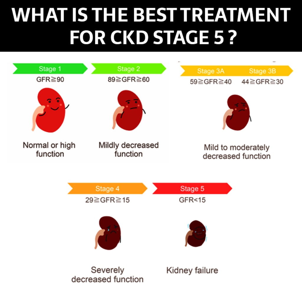 stage 1 kidney failure