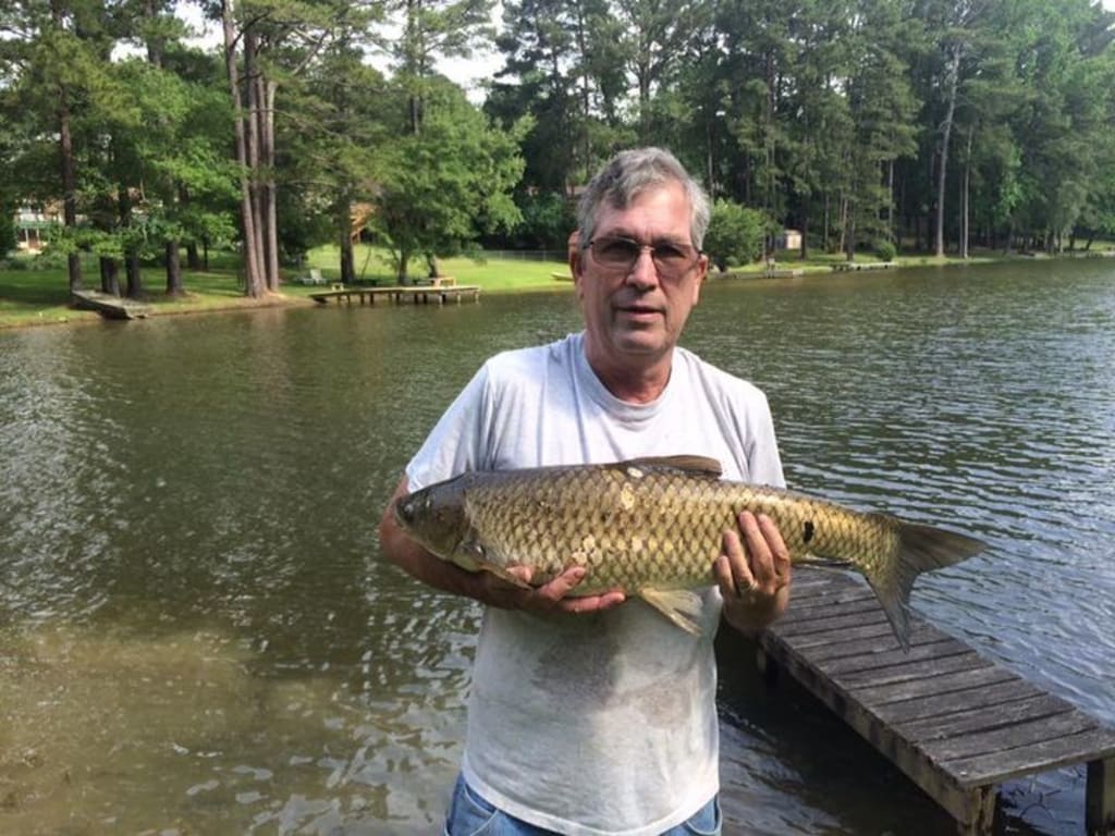 How to Catch Grass Carp