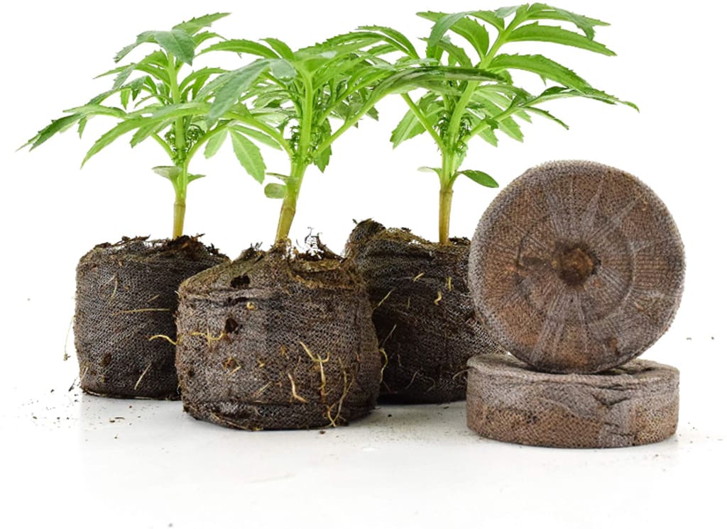 How to use Peat Pellets Lifehack