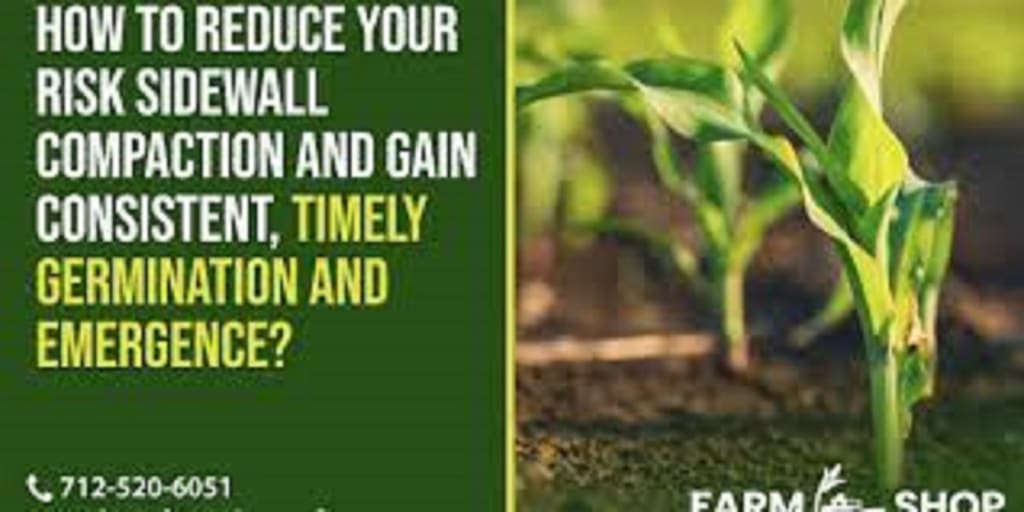 How to manage the stored grain while reducing losses? Lifehack