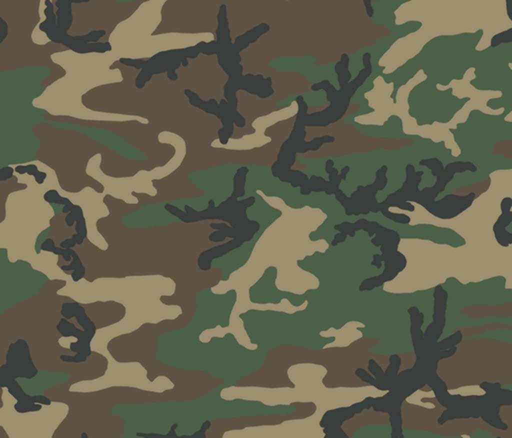 Here are 6 Certain Countries Which Ban Camouflage Wander