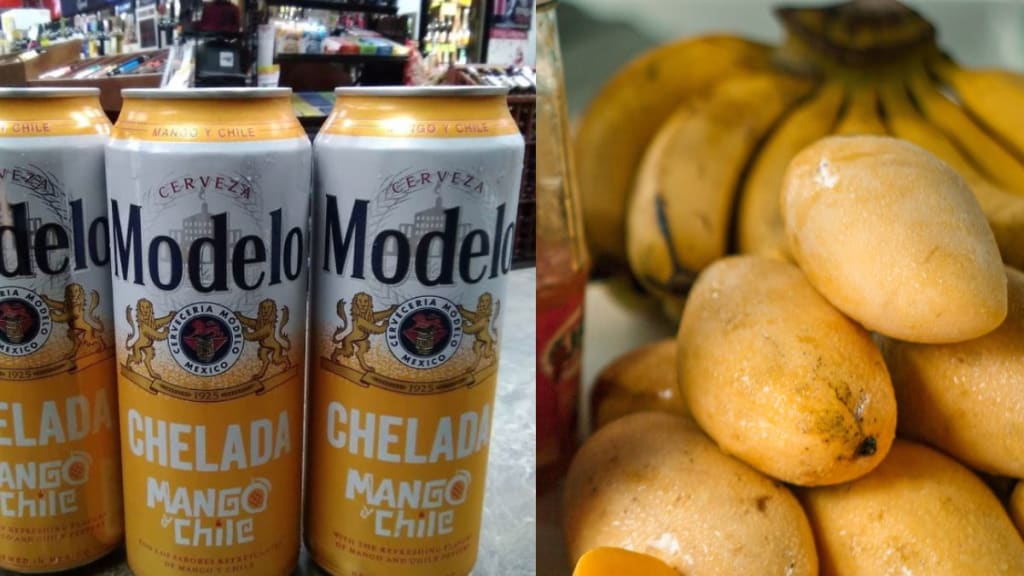 The Complete Guide To Modelo Alcohol Percentage & Most Popular One!