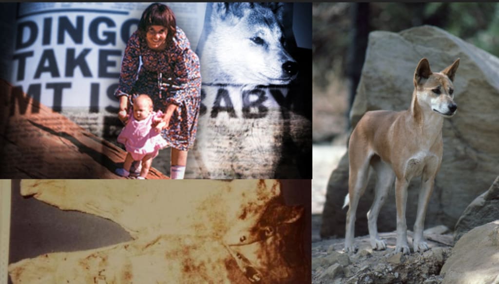 Australia's Azaria Chamberlain mystery solved: A dingo did it