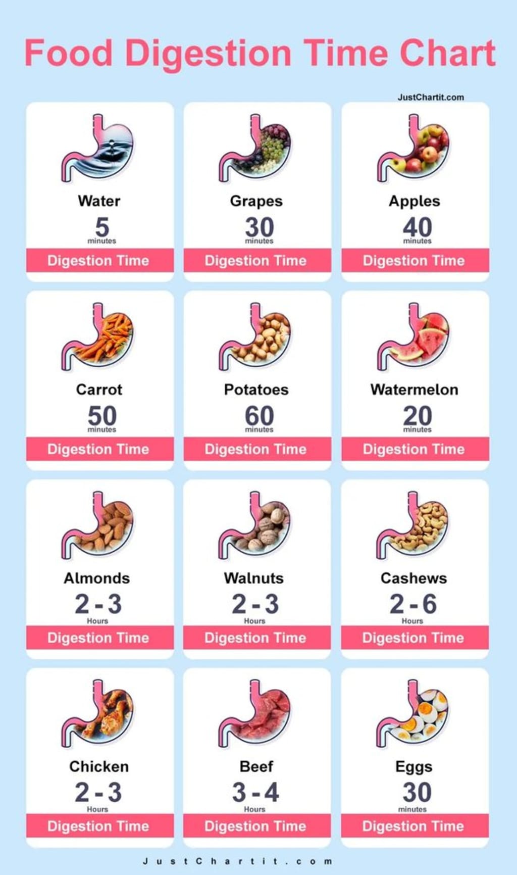 How much time does the stomach take to digest fast food? Longevity