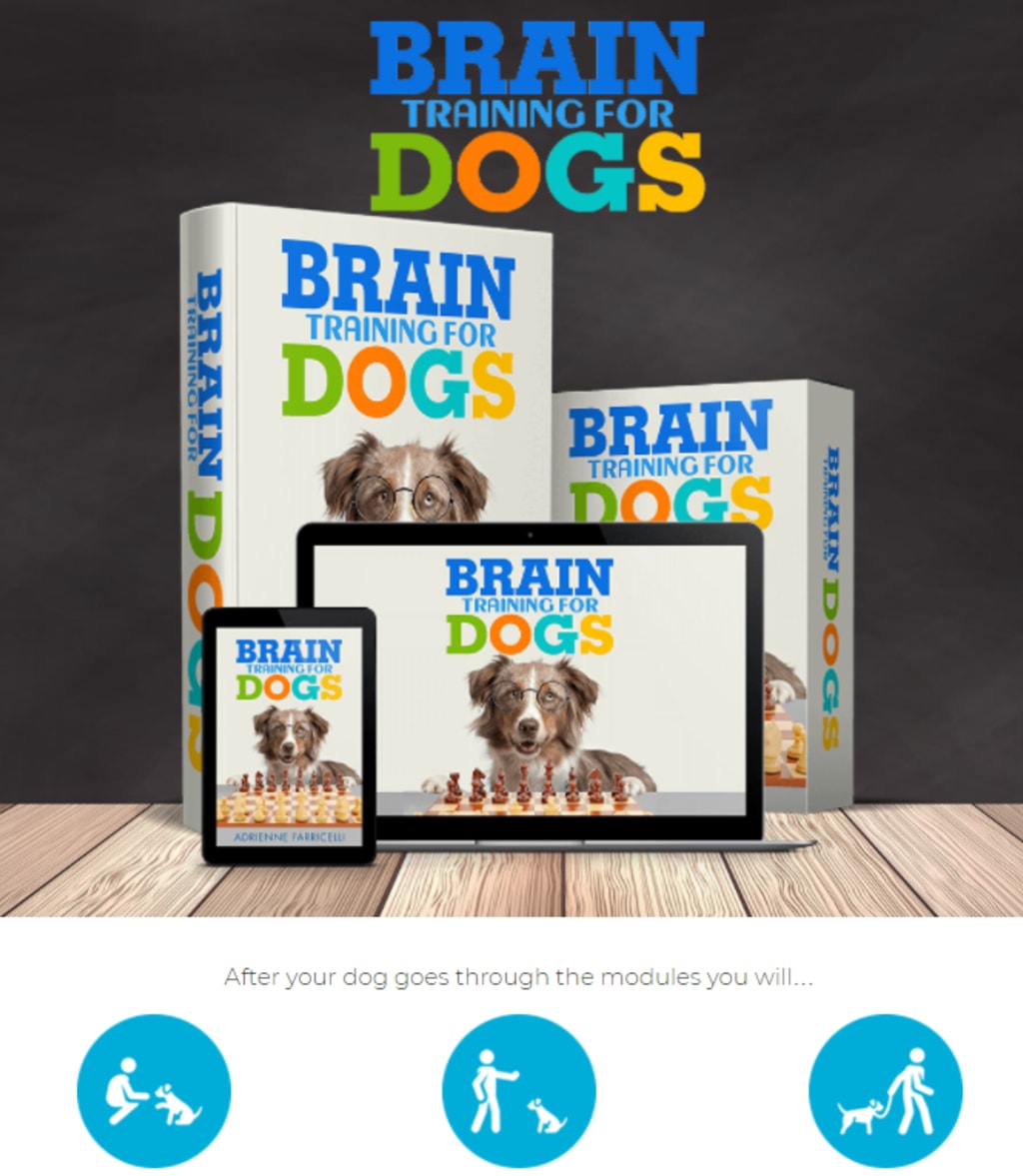 PDF) Brain Training for Dogs Reviews By Adrienne Farricelli