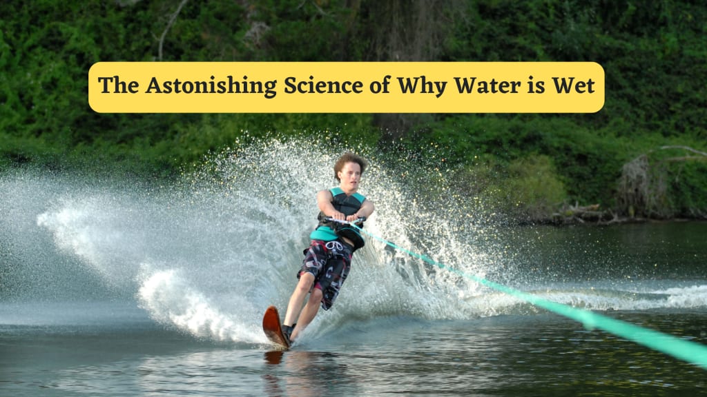 The Astonishing Science of Why Water is Wet? Education