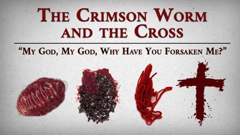 Crimson worm🐛 Education