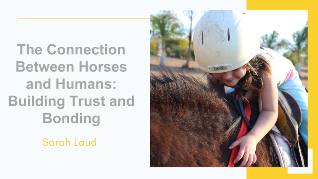 The Connection Between Horses and Humans Building Trust and Bonding