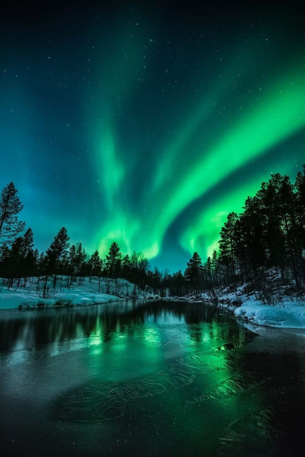Northern Lights: These spectacular shots capture nature's most
