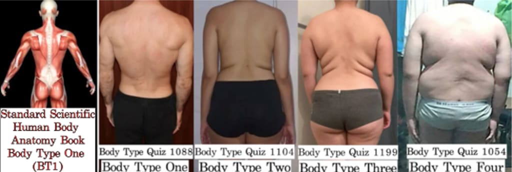 Body Type Quiz Male: What Is Your Body Type? - ProProfs Quiz