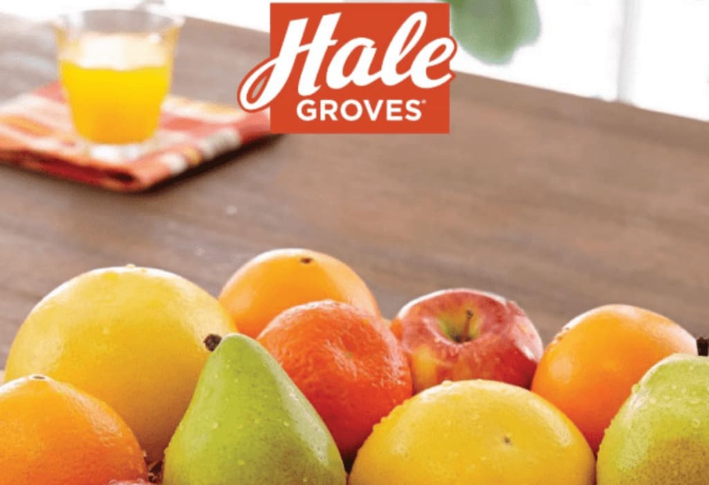 How about Hale Groves Promo Codes? Lifehack