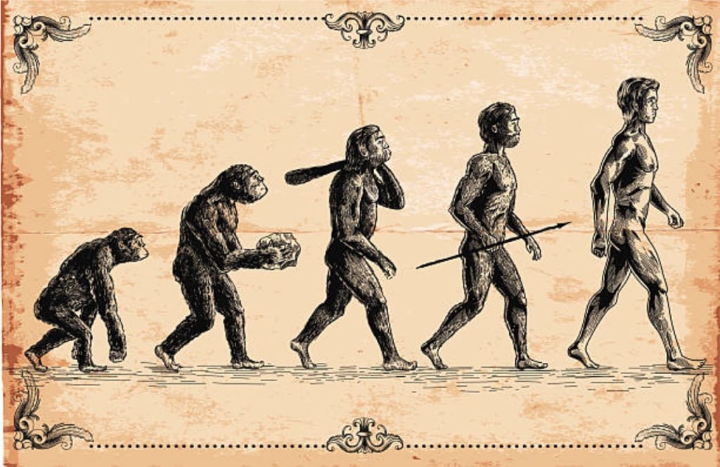 A Journey Through Human History: From Hominini to the Modern World | History