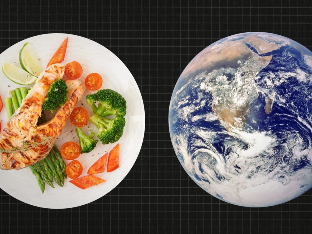The Green Plate: How Embracing a Vegan Diet Can Combat Climate Change |  Earth