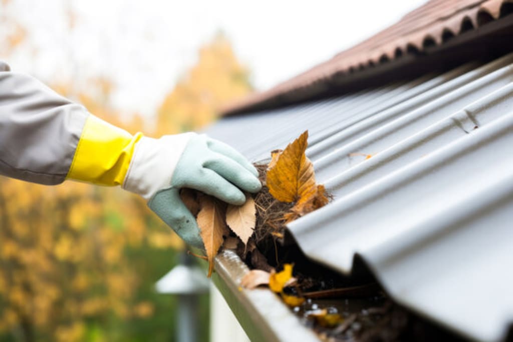 Gutter Cleaning Service Near Me Mount Vernon Wa