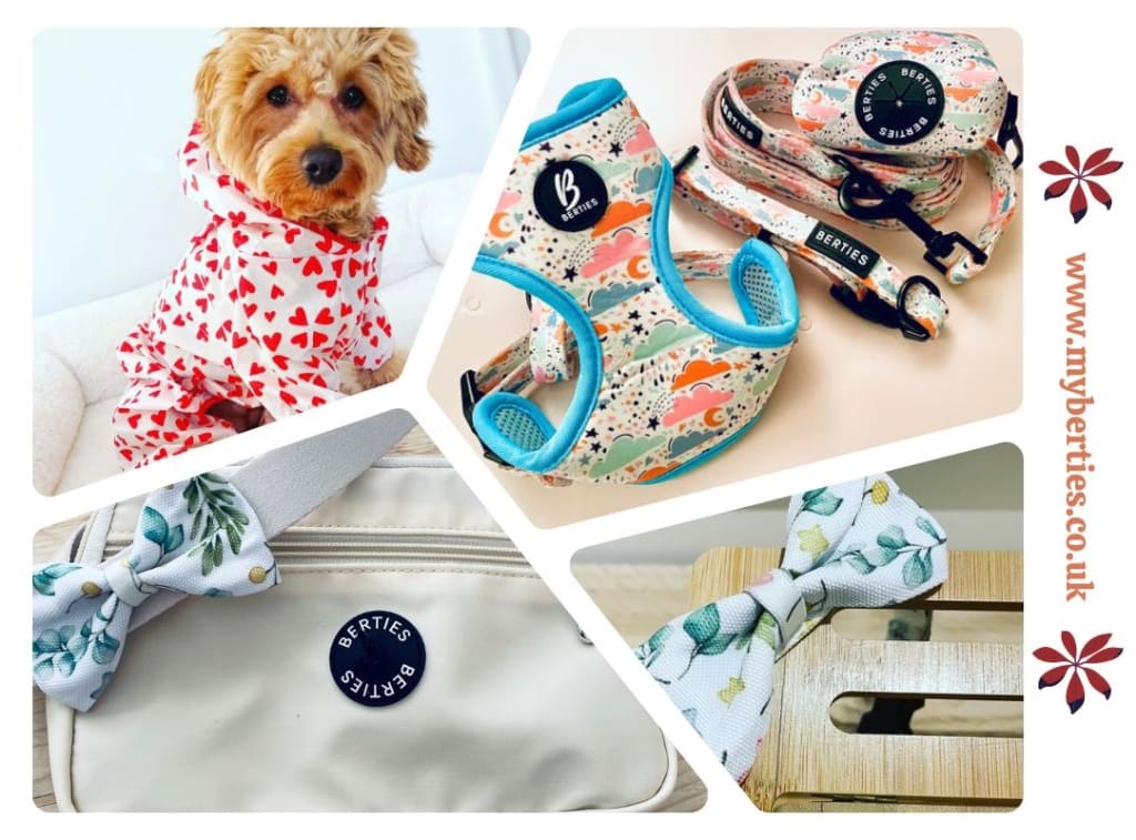 7 Dog Accessories Every Pup Parent Must Have - Myberties