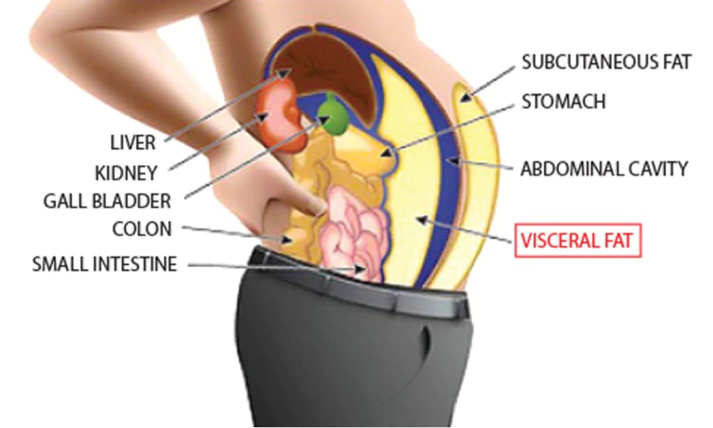 Trimming the Waistline: Effective Strategies to Reduce Belly Fat - puertoric