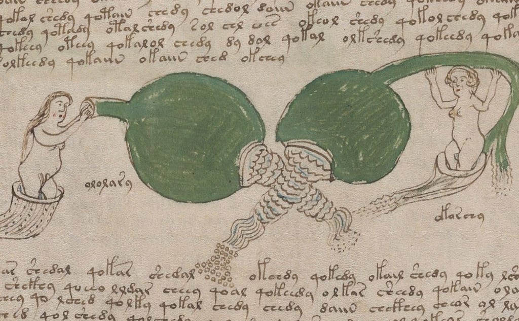 The Unsolved Mystery of the Voynich Manuscript: A Cryptic