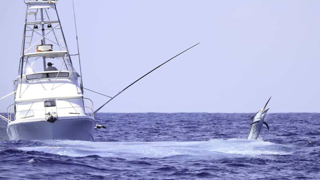 Catching A Big Fish On An Offshore Fishing Trip at Murrells Inlet