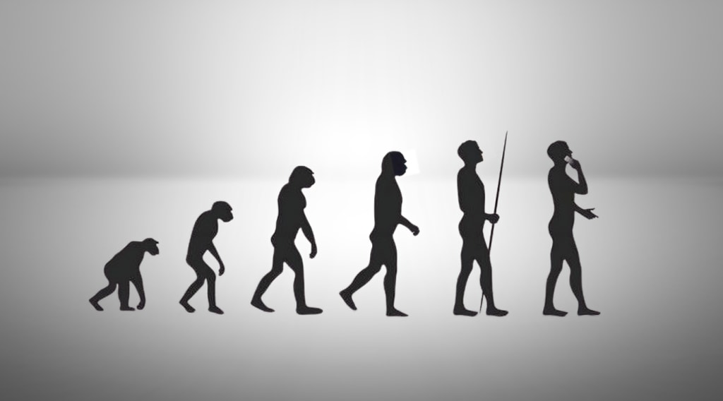 Stages of Evolution of Human Beings