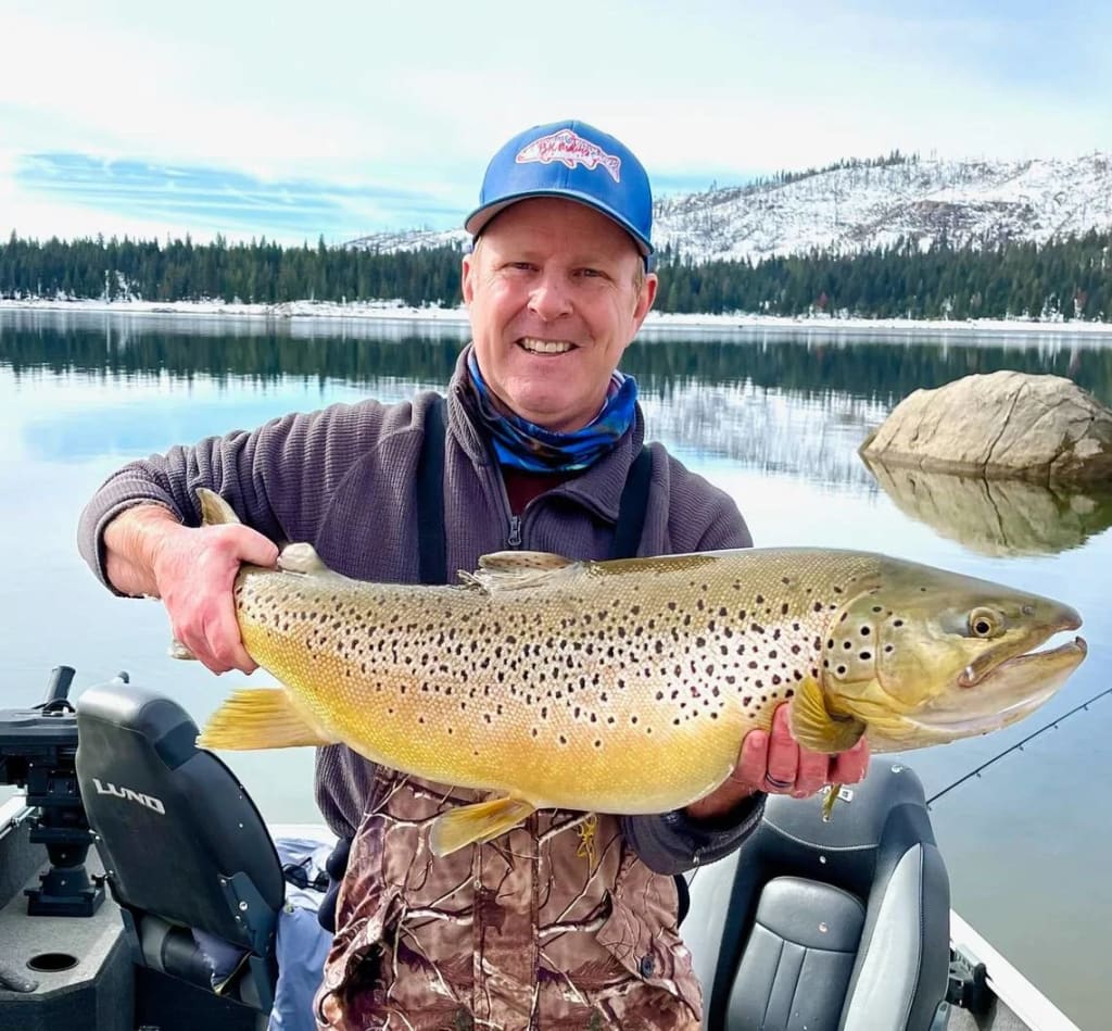 What Is the Best Fishing Rod for Lake Trout? - Trickyfish