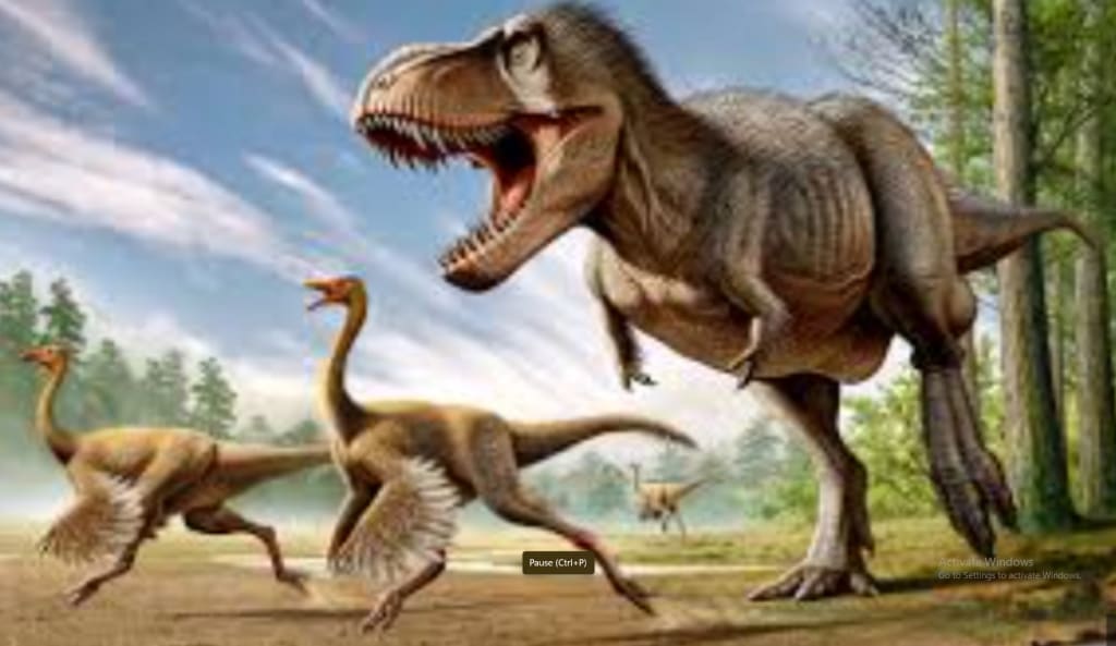 Dinasours Dinasours