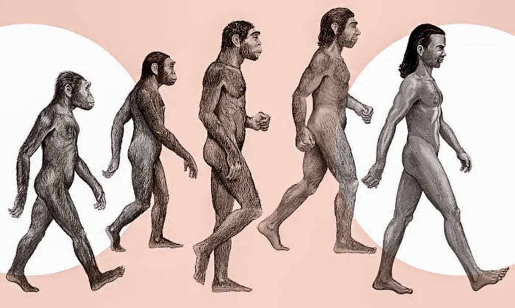 Unveiling the Dynamics of Cultural Evolution | Humans
