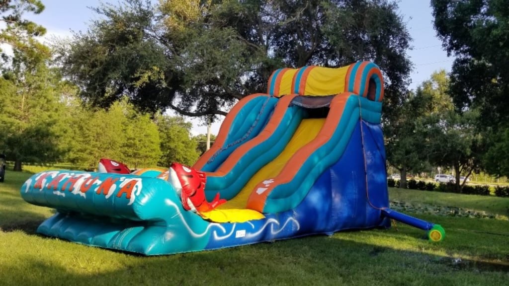 The Ultimate Guide to Inflatable Water Slides, Water Slides Rental, and  Dunk Tank Rentals for Your Next Event | Families
