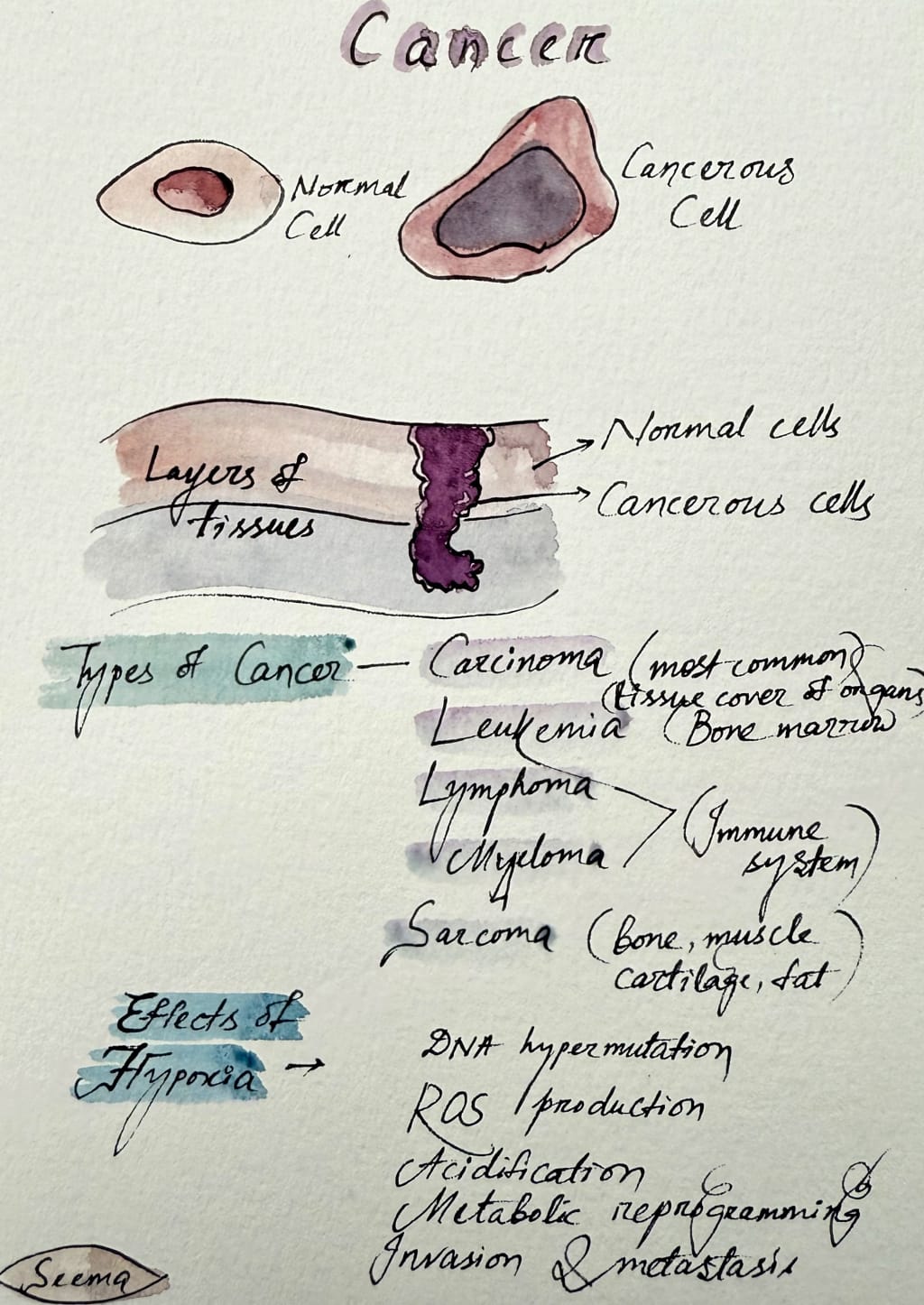 Coomeet article graphic of webcam secrets